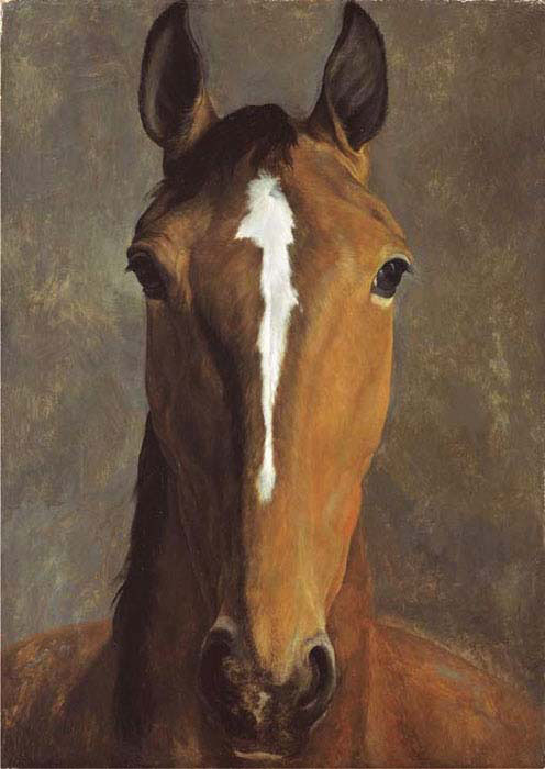 head of a bay horse